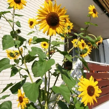 Havenothstrasse דירה