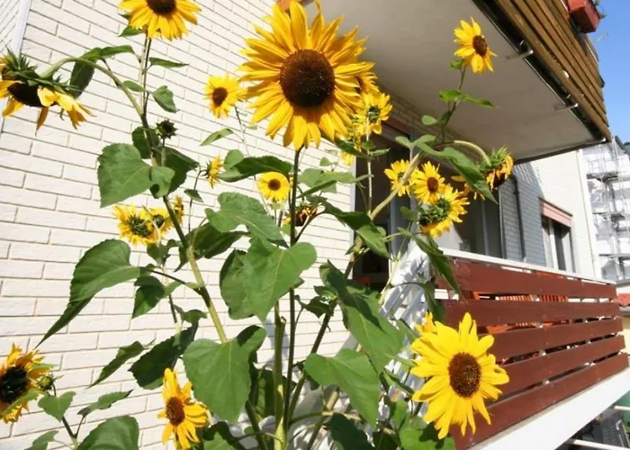 Havenothstrasse Daire